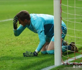 开云体育平台APP-威尔士队在比赛中遭遇挫折，表现低迷