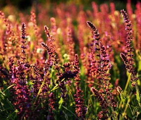 开云平台-伦纳德加时封神!76人鏖战力克雄鹿,关键先生一锤定音