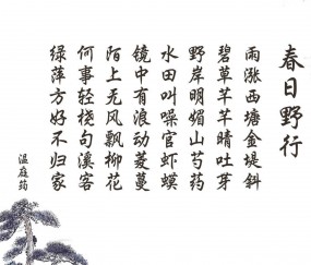 开云体育视频直播-丹佛之心，约基奇在总决赛之夜的无声统治