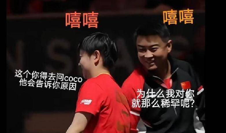 奥地利队完胜瑞典队，王皓点燃赛场