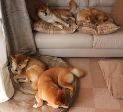 亚特兰大1-0拉齐奥，阿克一柱擎天，冠军级表现定义唯一性