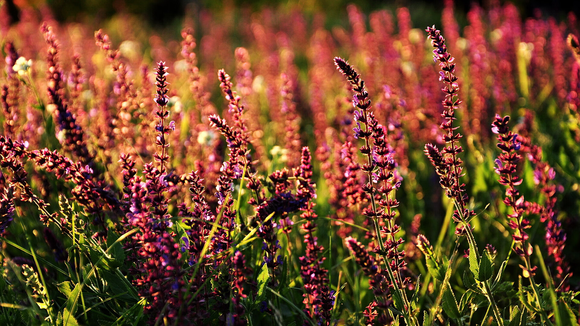 伦纳德加时封神！76人鏖战力克雄鹿，关键先生一锤定音